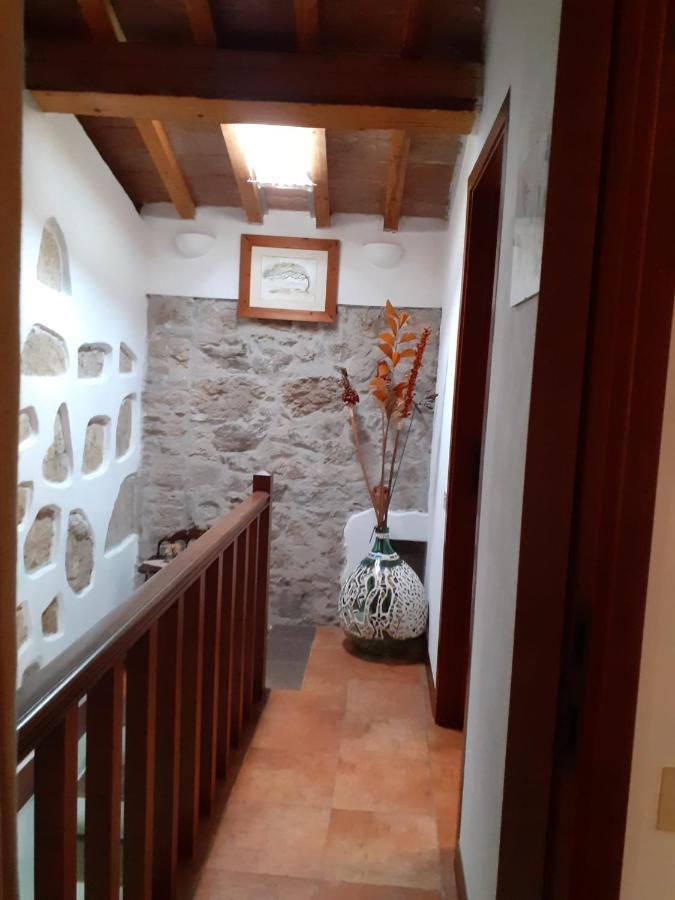 Casa Di Nonno Gio Villa Vecchiano Exterior photo